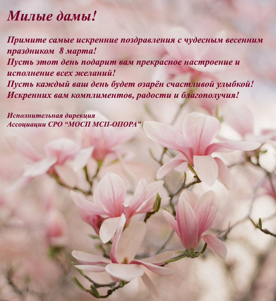 tumblr_n8hi5yK9vb1sbz1hoo1_1280.jpg